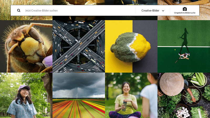 Getty Images Test Exklusive und hochwertige Stockfotos EXPERTEde
