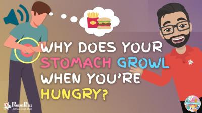 Why Do Our Bellies Rumble? Exploring Common Causes and Remedies
