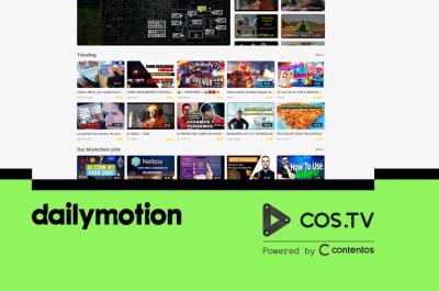 What Makes Dailymotion a Unique Platform for Diverse Video Sharing Needs?