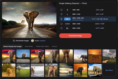 Is Depositphotos Safe? Understanding the Security of Your Data and Downloads