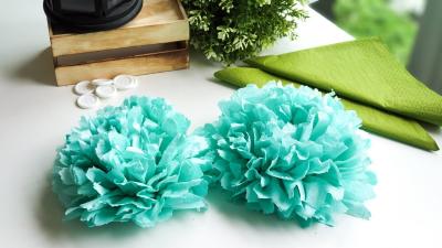 Watch Video Tutorials to Make Stunning Tissue Paper Flowers on Dailymotion