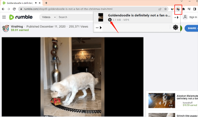 Can You Download Videos from Rumble? A Guide to Saving Content on Rumble
