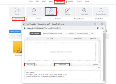 How Hard Is It to Get Photos Accepted by Depositphotos? A Guide for New Contributors