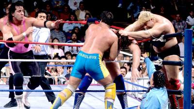 Who Won the 1989 Royal Rumble Match?
