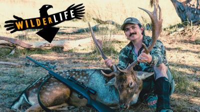 How to Field Dress a Buck with Expert YouTube Tutorials