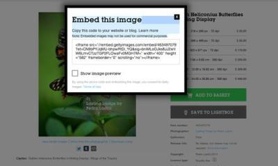 How to Buy Photos from Getty Images: A Quick Guide to Purchasing Licenses
