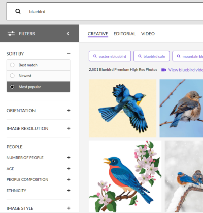 How to Search Multiple Tags on Getty Images: Advanced Search Tips