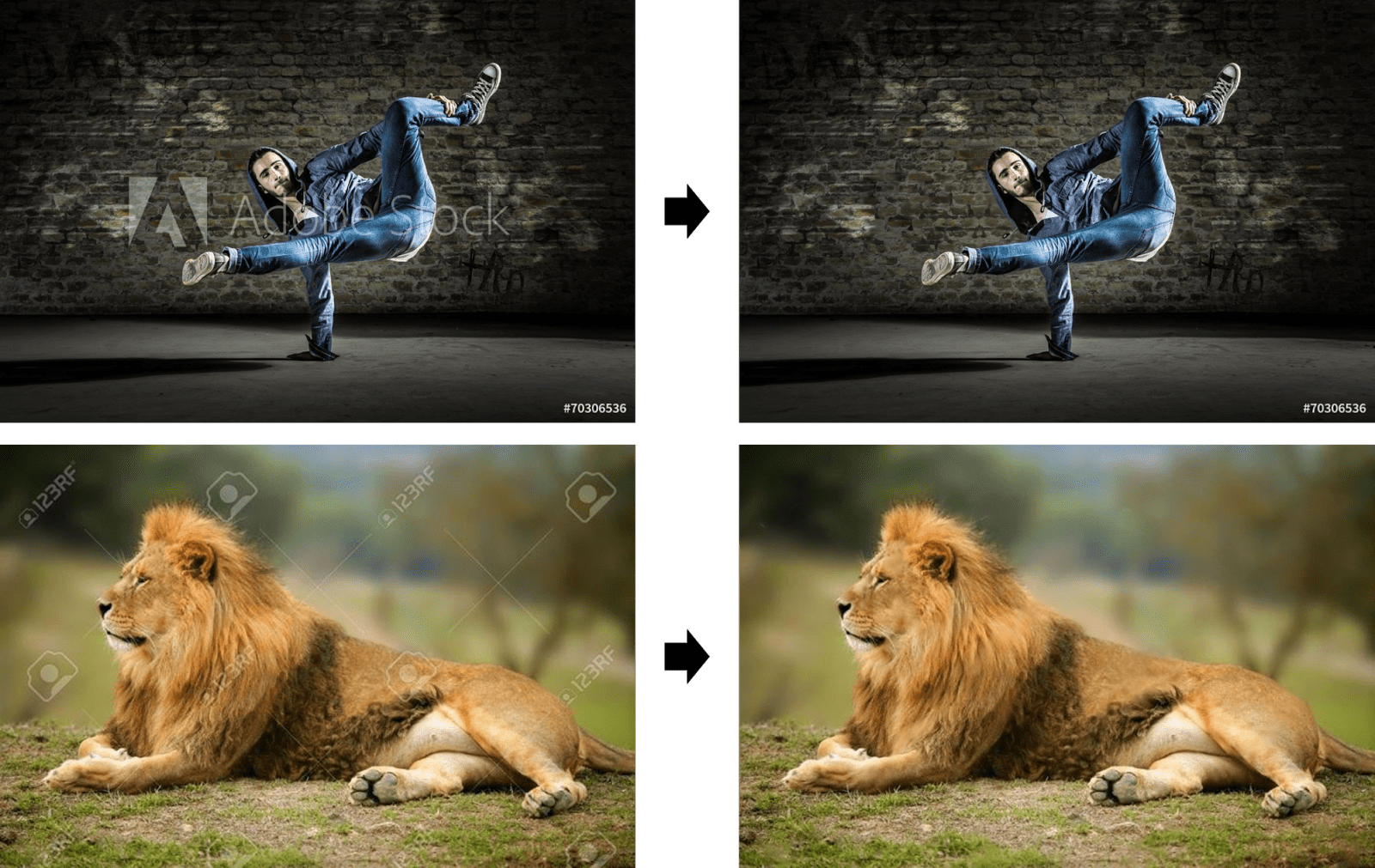 AI Can Remove Stock Watermarks From Photos Google Finds A Solution