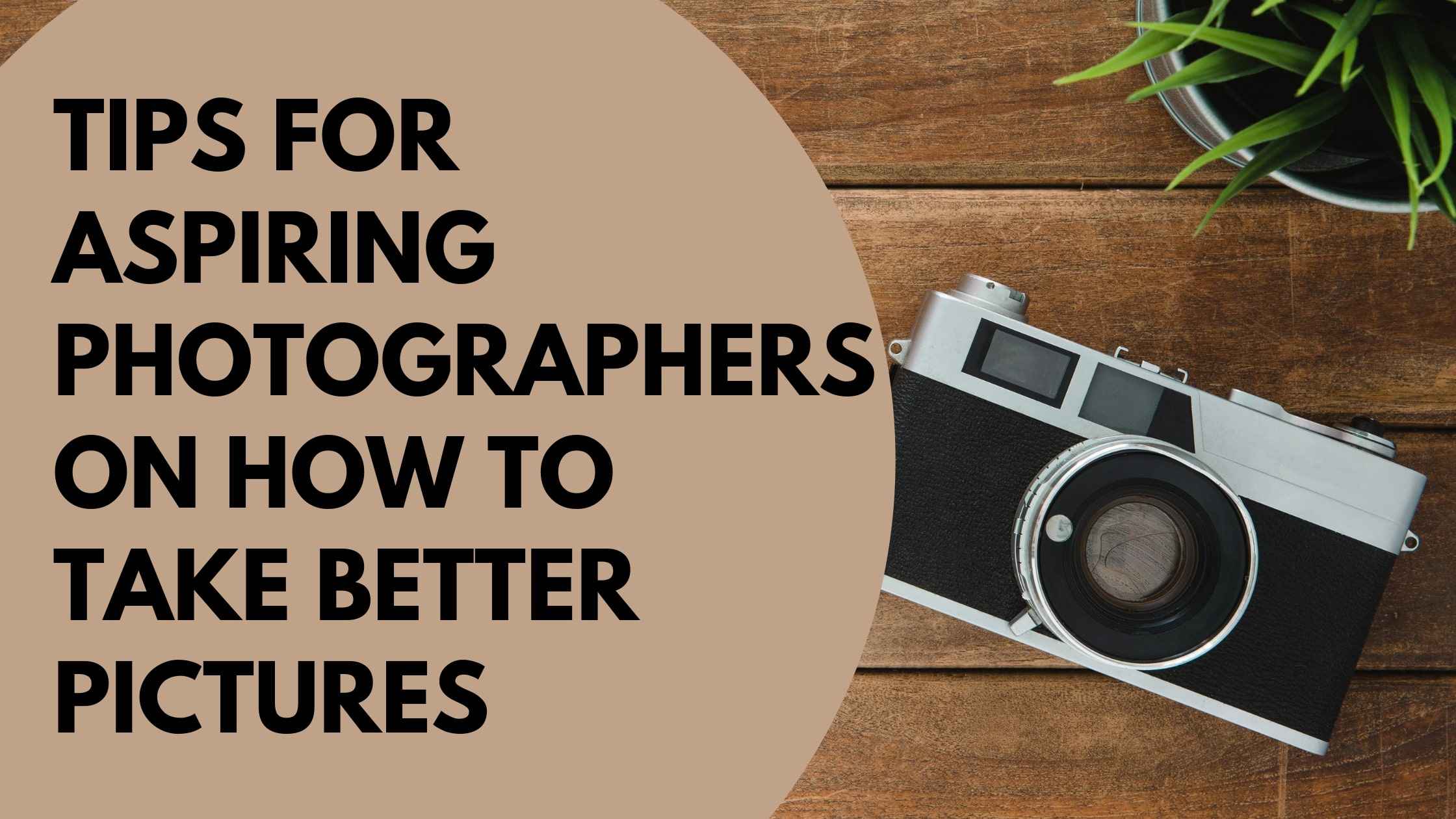 Tips for Aspiring Photographers on How to Take Better Pictures