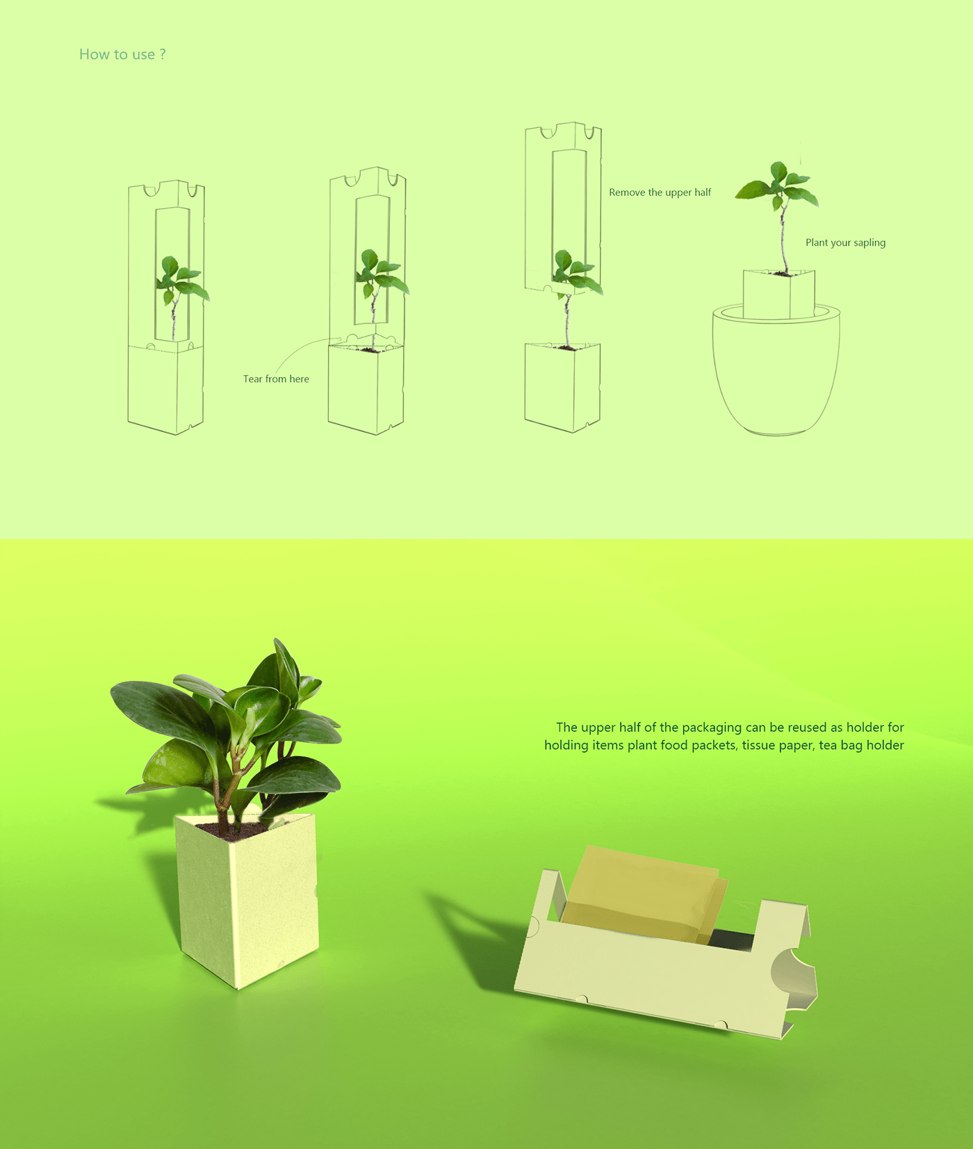 Plant packaging design Behance
