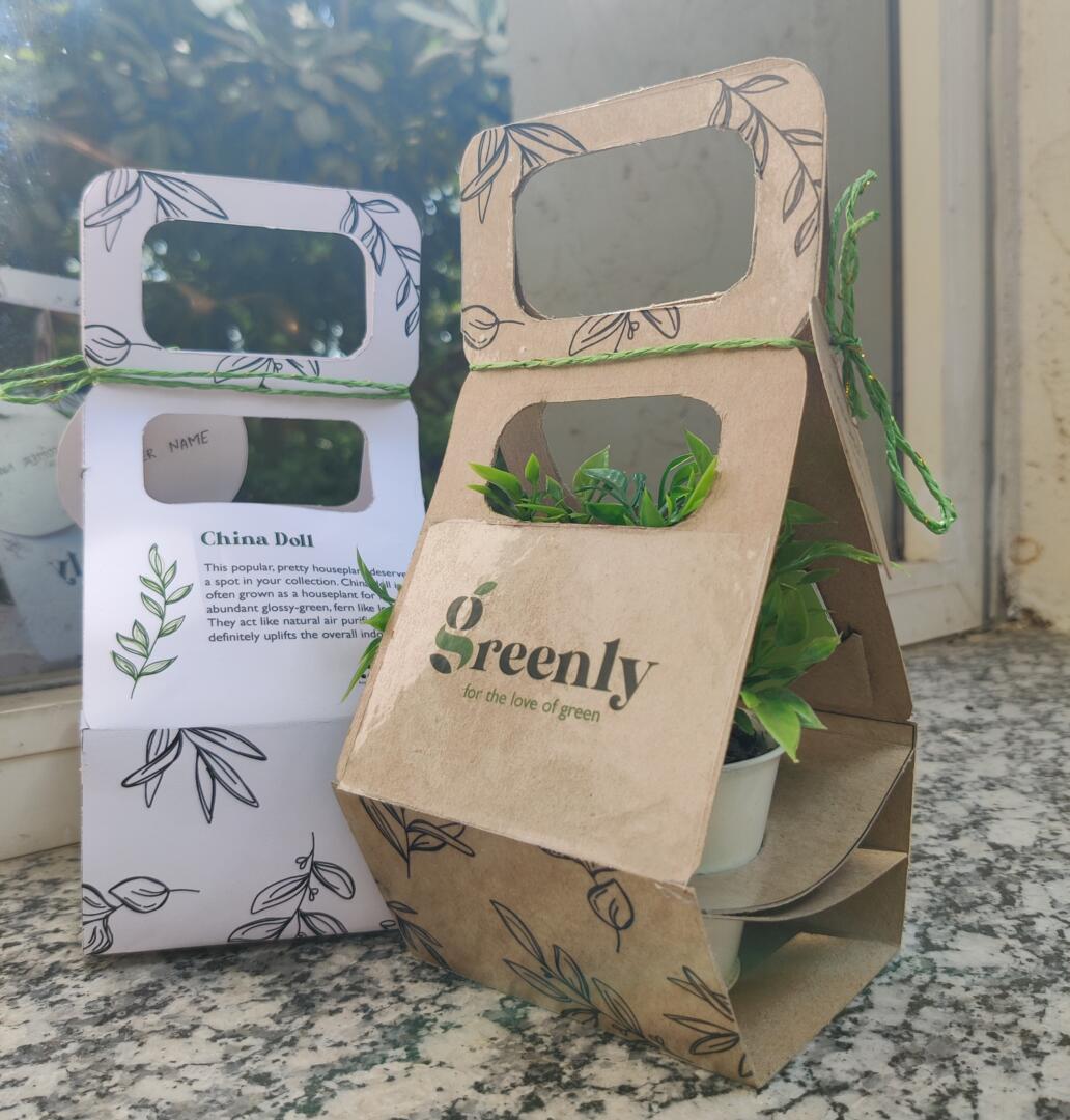 Greenly Packaging for small potted plants Packaging Of The World