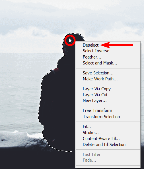 adobe stock photos how to unselect