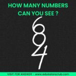 How Many Hidden Numbers Can You See Picture Puzzle