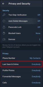 How to Hide Last Seen on Telegram