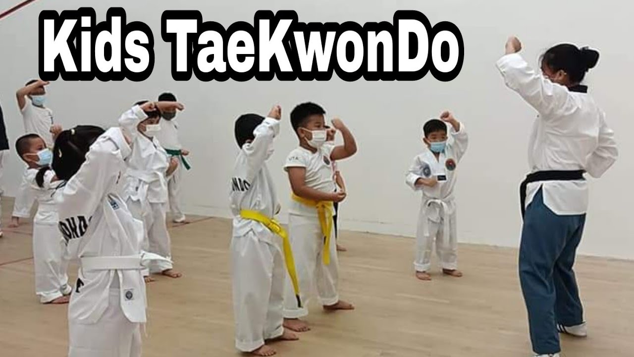 TAEKWONDO TRAINING YouTube