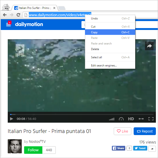 How to Download a Video from Dailymotion 4K Download