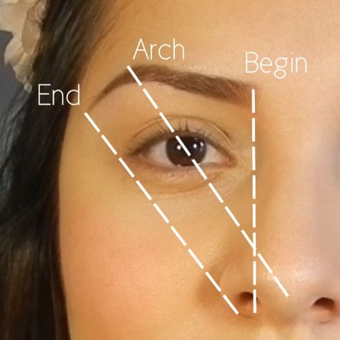 Eye Brow Shaping Guide Fix eyebrows Eyebrow shaping Eyebrows