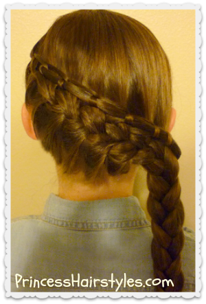 Braid Tutorial Cinch Knot Feather Braid Hairstyle Hairstyles For