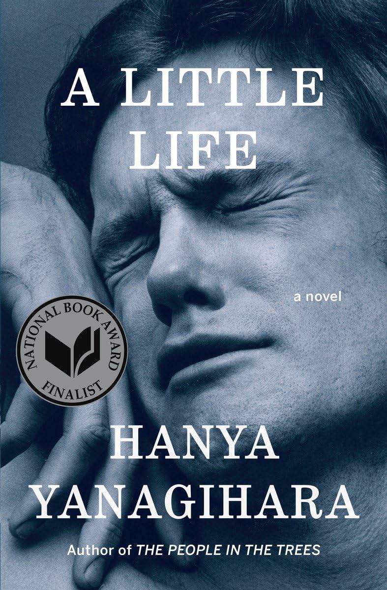 A Little Life A Novel Amazoncombr