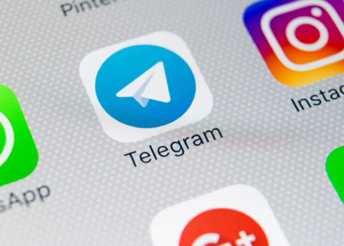 How to get a verified badge at telegram the Blue Checkmark
