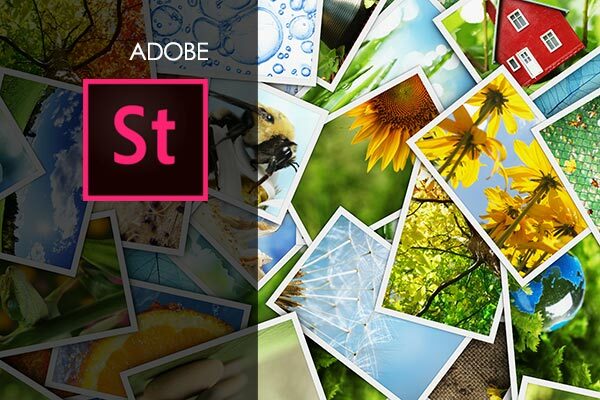 Adobe Stock Training Course Creative Tools for Images Dooey
