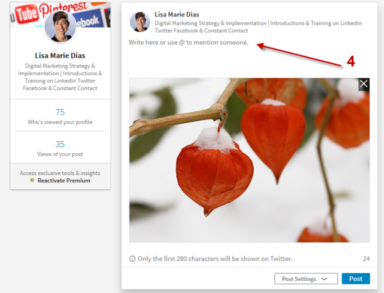How to Add a Photo AND a Link on LinkedIn LisaMarie Dias