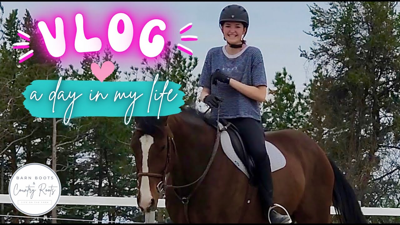EQUESTRIAN VLOG A Day in the Life YouTube