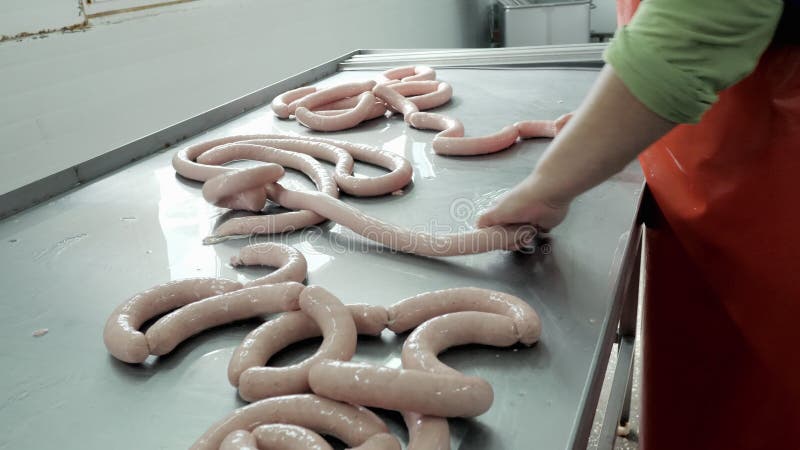 Sausage Production Process in a Meat Factory Worker Shapes the Sausage
