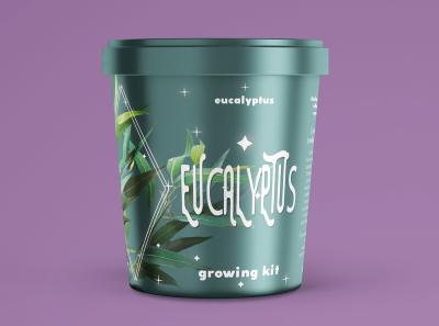 How to Make a Little Planty Package Cardboard Behance: Creative Packaging Design Projects