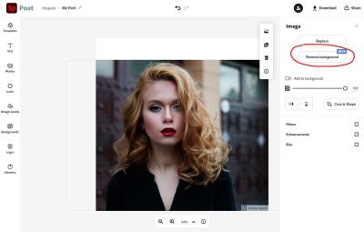 how to get adobe stock logo off spark