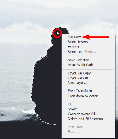 adobe stock photos how to unselect