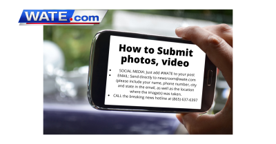 How Do You Get Your Photos on Getty Images: Understanding the Submission Process