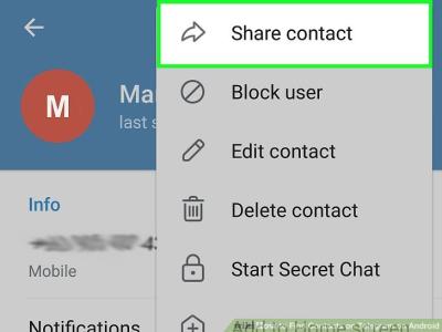 How to Find Plugs and Contacts on Telegram for Networking