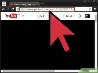How to Embed a YouTube Video on Your Website or Blog