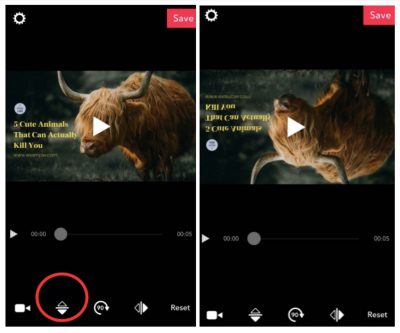 Creative Ways to Flip Videos on Dailymotion for Enhanced Viewing