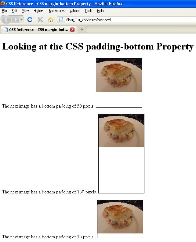 How to Change Padding Dimensions for Bottom Only in WordPress CSS