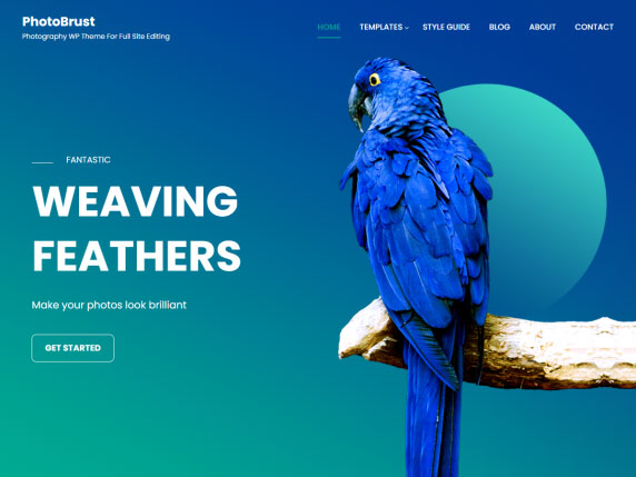 Discover the Best Free WordPress Themes for Every Website