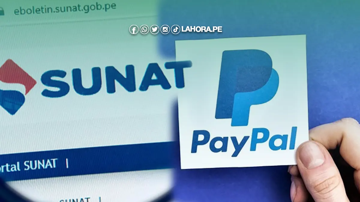 How to Use the Sunat Plugin in WordPress for Peruvian Tax Services