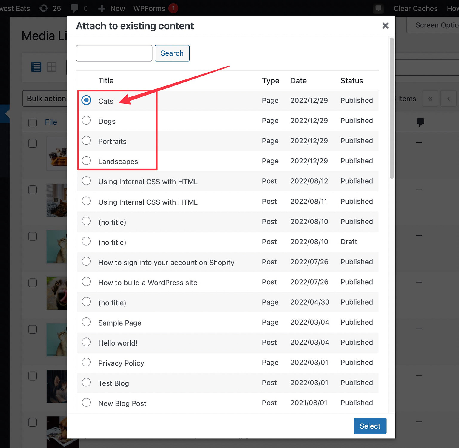 How to Create a Folder for Posts on WordPress.org