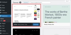 What is WordPress Default Theme How to Use Full Guide