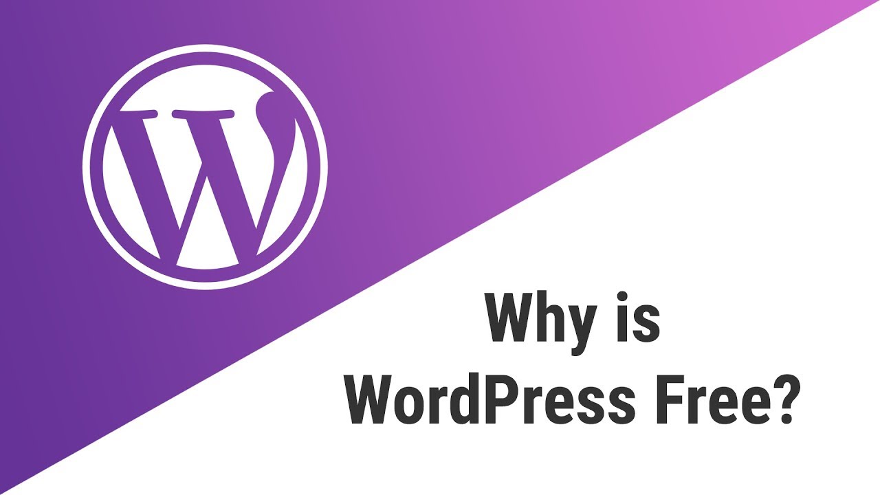 Is WordPress Really Free? Let’s Find Out
