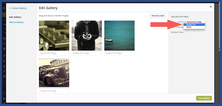 How to Display Different Images on Desktop and Mobile in WordPress