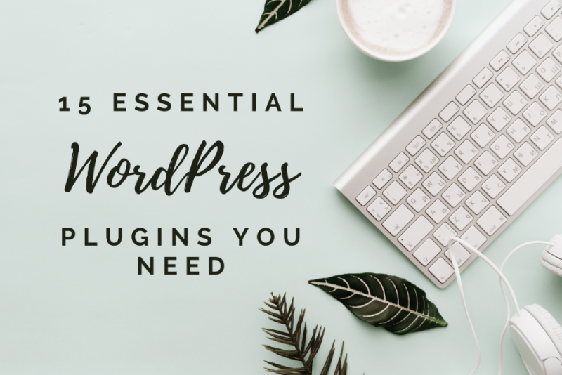15 Essential WordPress Plugins you MUST HAVE ShegoWandering