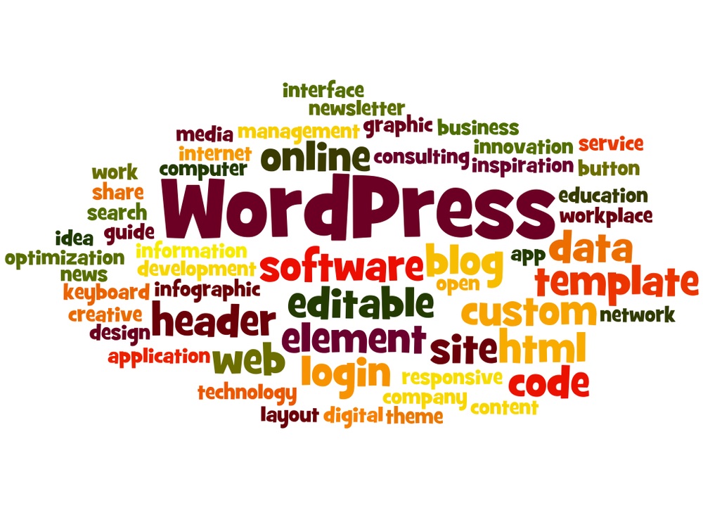 Kasey D'Amato: Exploring WordPress.com and Its Features
