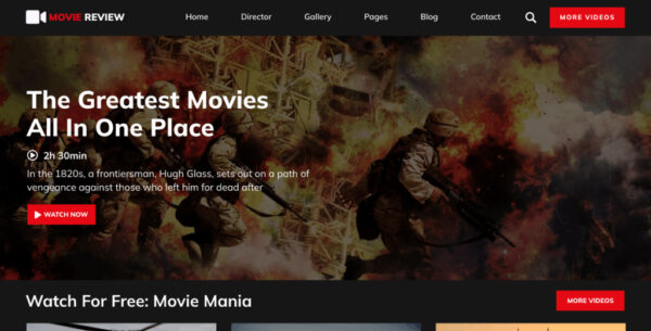 Movie Review Site WordPress Template: Build a Professional Review Site