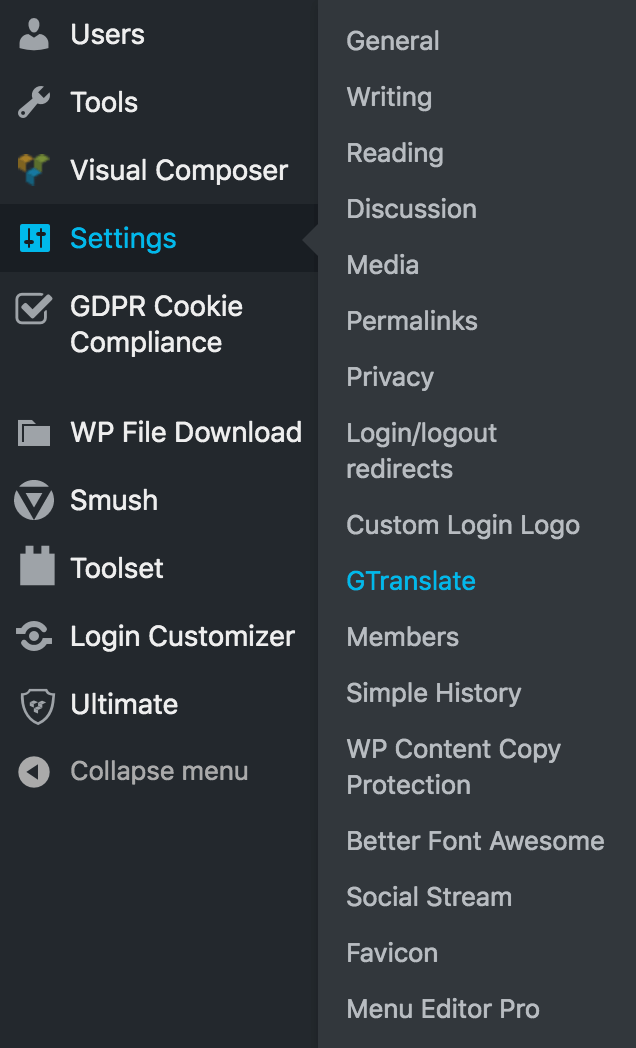 WordPress GTranslate Plugin: Does It Increase Your Database Storage?