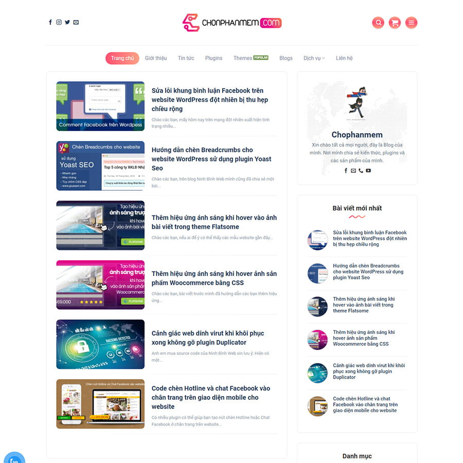 Seawind 2019 WordPress Theme: Is It Worth Using for Your Site?