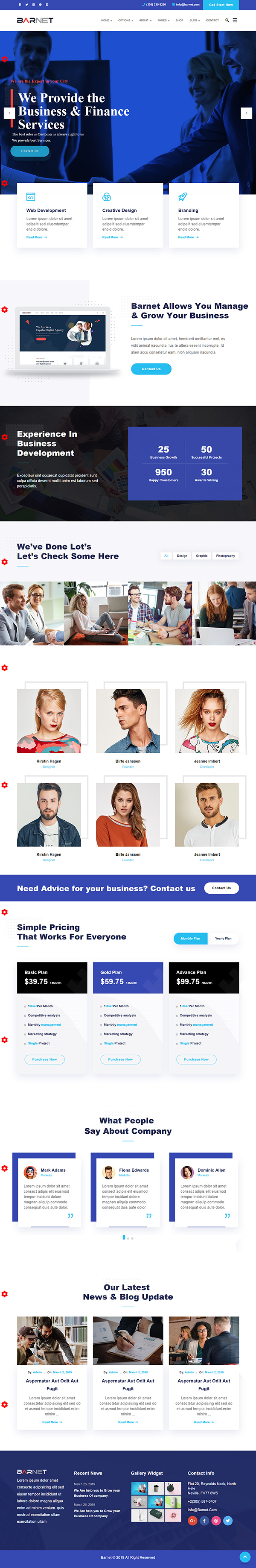 Elementor Business Consulting WordPress Theme: Perfect for Consultants
