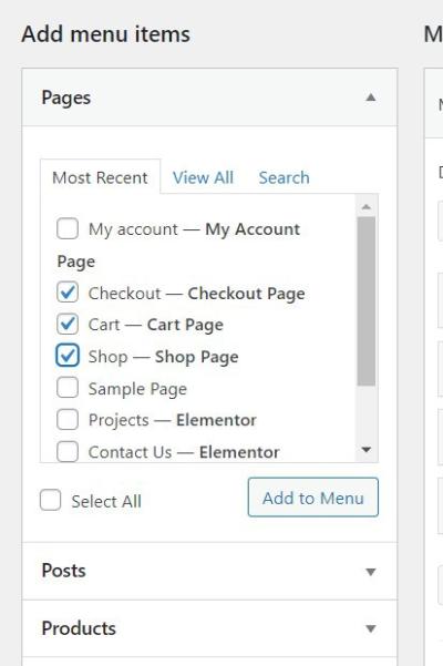 Customizing WordPress Admin Menus: How to Use Custom_Menu_Order