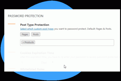 How to Customize Your WordPress Password Protected Forms for Better Security